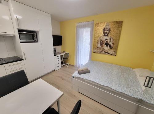 City Center Zurich Downtown Studio with Balcony Erlach - Self Checkin