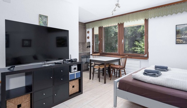 Cozy Alpine Studio in Wiriehorn with Parking