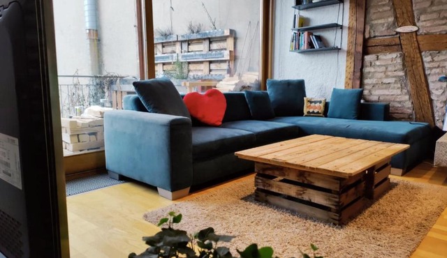 Cozy Penthouse in Bern Center