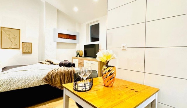 Cozy Studio Apartment Close to LK Klosterneuburg in Klosterneuburg