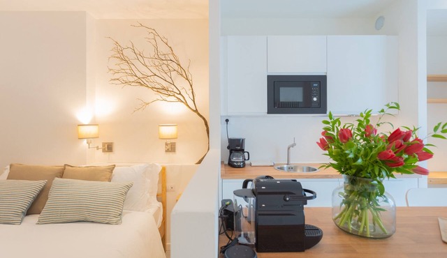 Enchanted Como Lake - Tremezzo Apartment 2