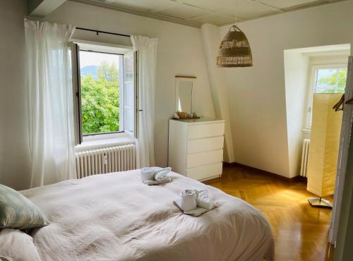 Fantastically beautiful old building apartment with lake view