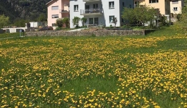 Ferienwohnung/app. für 2 Gäste mit 50m² in Poschiavo