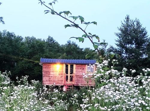 Glamping Casetta sul lago