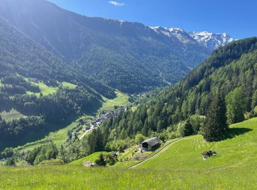 Grand Chalet du Mayen de Planraveire