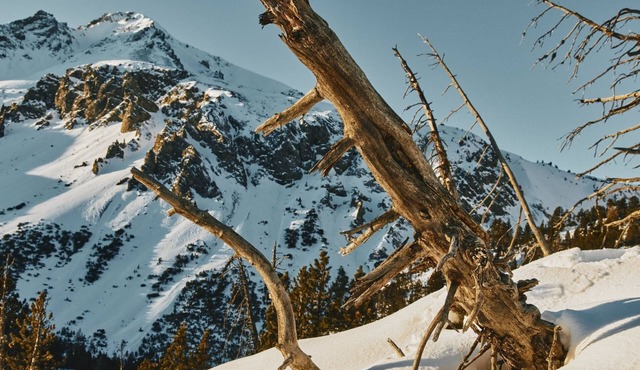 Hütte Ova Spin il Cuvel, (Zernez) by Interhome