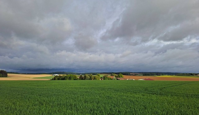 "Harlandencia" - A different take on the countryside in Oberdolling