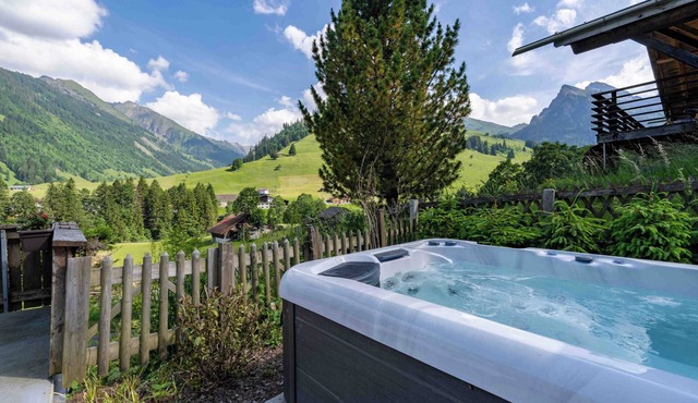 Hot Tub Chalet with BBQ netx to Gondola, Nature and near Spiez