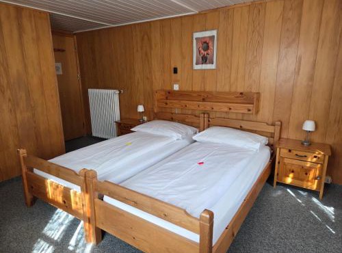 Hotel Aletsch in Bettmeralp