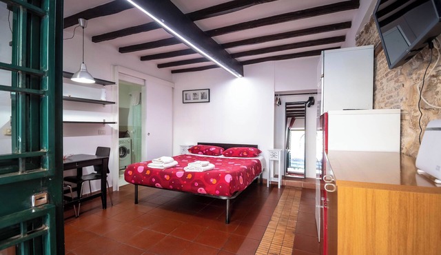 independent apartment in Trastevere