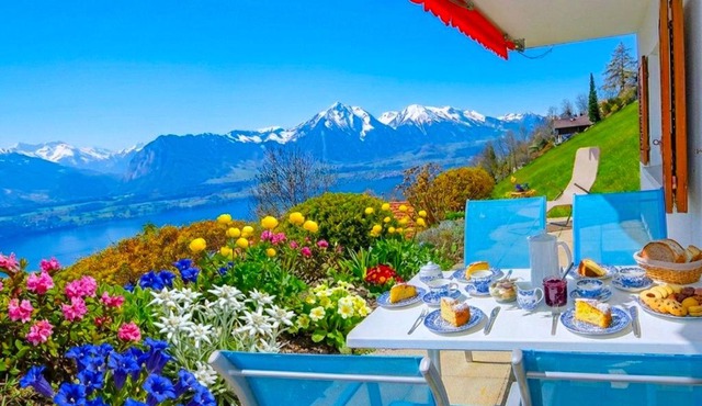 Lake Thun Alps Scenic Views and Concierge by SwissHut