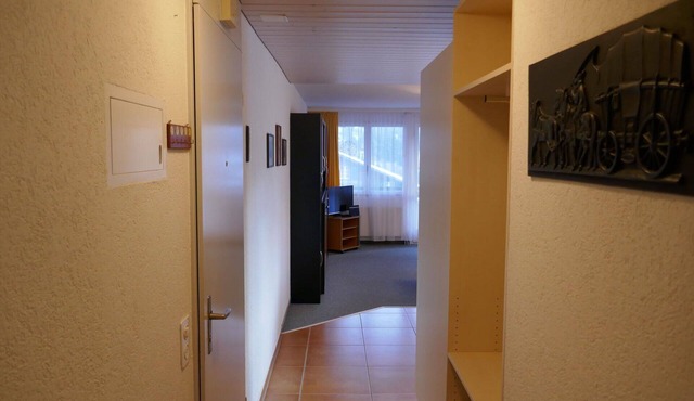 Lovely apartment for 3 guests with WIFI, TV, balcony, pets allowed and panoramic view