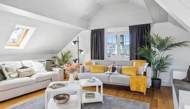 Luxury | Rooftop Terrace | AC | Zurich Old Town