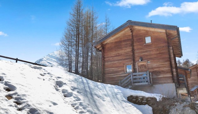 Magnificent chalet in a peaceful natural setting