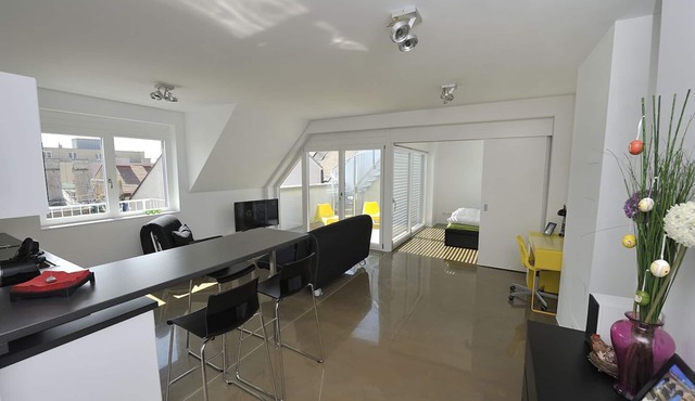 Modern, Architect-Designed Penthouse Loft With 2 Outdoor Roof Terraces in Vienna