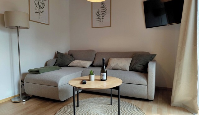 Modern vacation apartment on Lake Constance in Lindau with balcony in Lindau (Bodensee)
