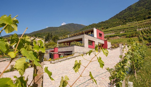 Nebbiolo Wine B&B - Winery & Vineyard Valtellina
