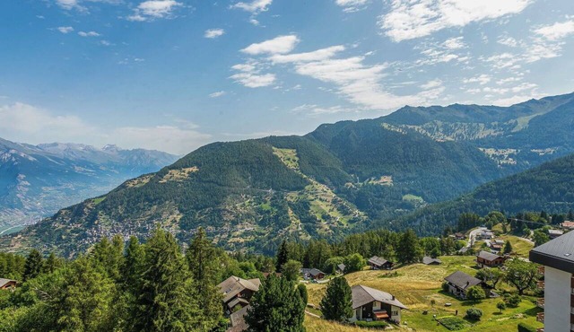 Nice apartment for 6 guests with WIFI, TV, terrace and pets allowed