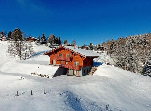 PetitChevrier - 6BR Spacious Chalet in Villars - Designed for Accessibility