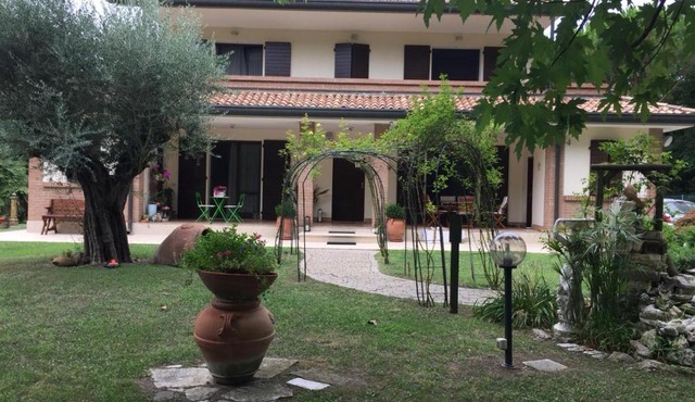 Picchio verde in San Giuseppe