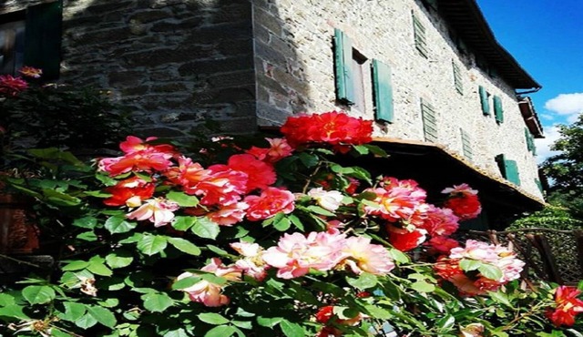 Podere I Rovai-apt IL RIFUGIO-amazing view Tuscany in Reggello ( Firenze )
