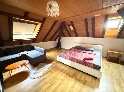 Rooms for rent in Bolligen