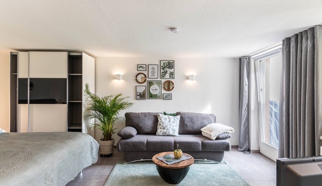 Schweizer Holiday Apartment – Relaxing Getaway at Lake Constance in Hemmenhofen in Gaienhofen