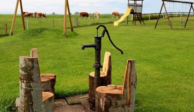 Shettland pony paddock - Langs Wirtshaus in Pehersdorf