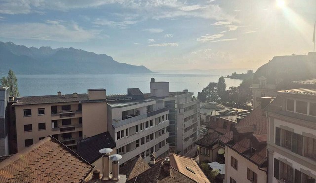 Simple but amazing 1-bedroom studio in Montreux near the lake and train station