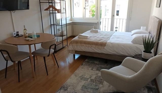 Smart studio in the city center (Crown 46)
