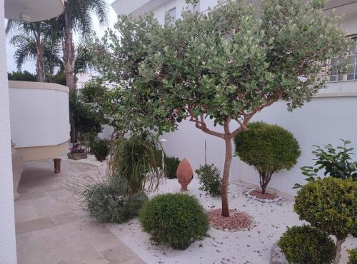 Sofia in Castro di Lecce
