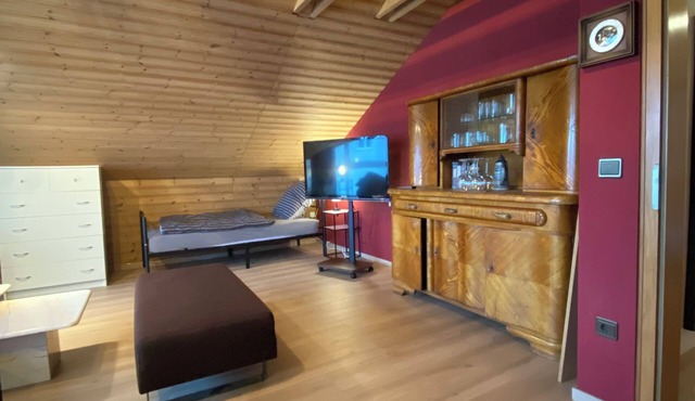 Spacious vacation apartment approx. 100 sqm with balcony and beautiful view in Parkstein