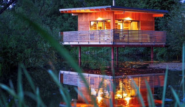 Spectacular tiny house in a pond with terrace and fireplace in Großharthau