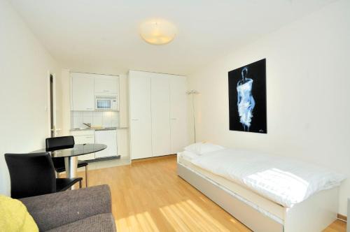 Studio in the heart of Zurich - Crown 35
