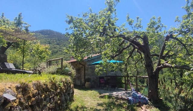 Tiny Rustico CASA LUCERTOLA with outdoor kitchen & pool. Pets welcome! in Apricale