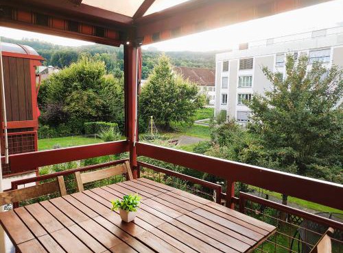 Top duplex Apartment Zurich-Limmattal