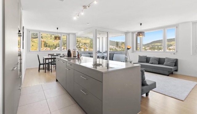 Two bedroom apartment with Pilatus view near Lucerne