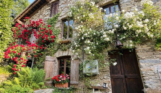 Unique rustic Riverside Mill, river access, secluded lake, hot tub+amazing views in Rossa