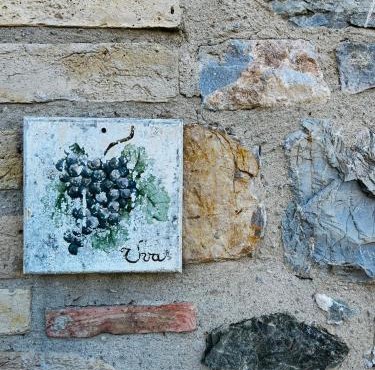 Uva - Poderone in Triana