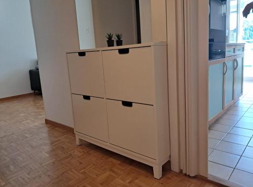 Vac-Vue de Charmey