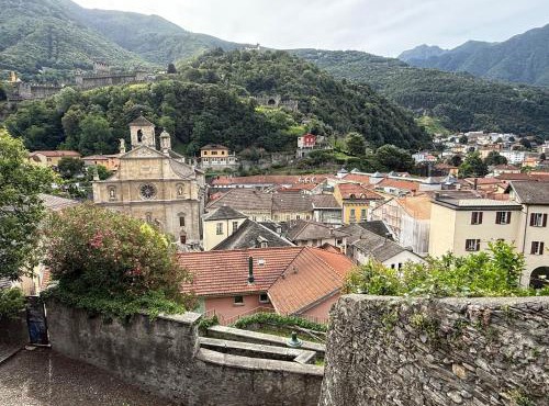Violet-Sky Bellinzona
