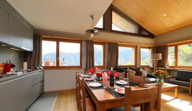 Wifi, 250m from resort center, sauna, hammam, tv, ski locker, 55m², Vercorin