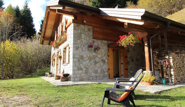 Wonderful private villa for 5 people with WIFI, patio, pets allowed and panoramic view in Pieve Tesino