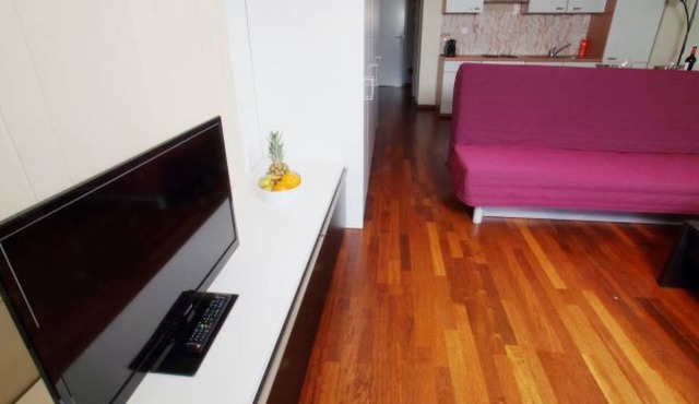 ZH Limmat 5 - HITrental Apartment by Interhome