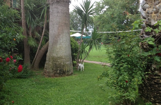 Tenuta Borgo Caere - un'oasi a 30 minuti da Roma in Ladispoli