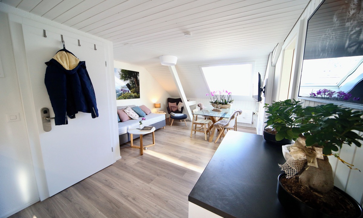 Engelberg Apartment | ALP APARTMENTS with self check-in