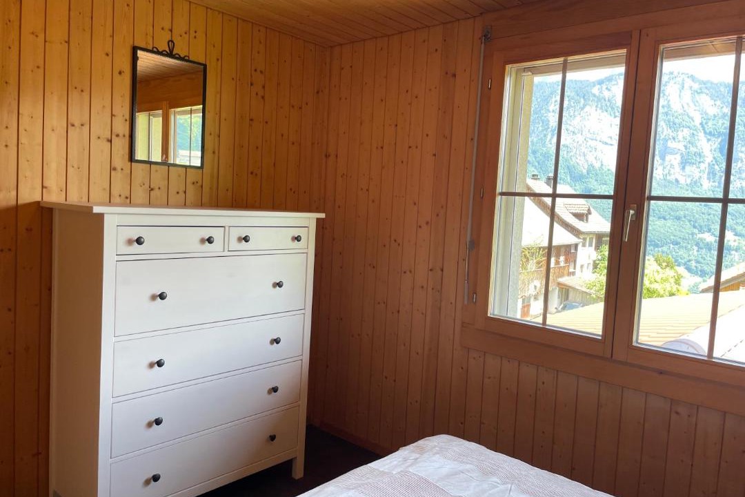 Pfaefers Dorf Apartment | Wohnung in Bergchalet
