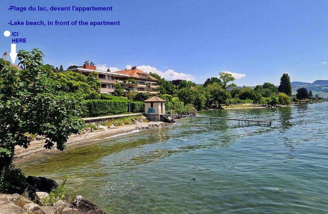 Pully Apartment | LAUSANNE PULLY SKI lakeside street and direct bus to Lausanne train station