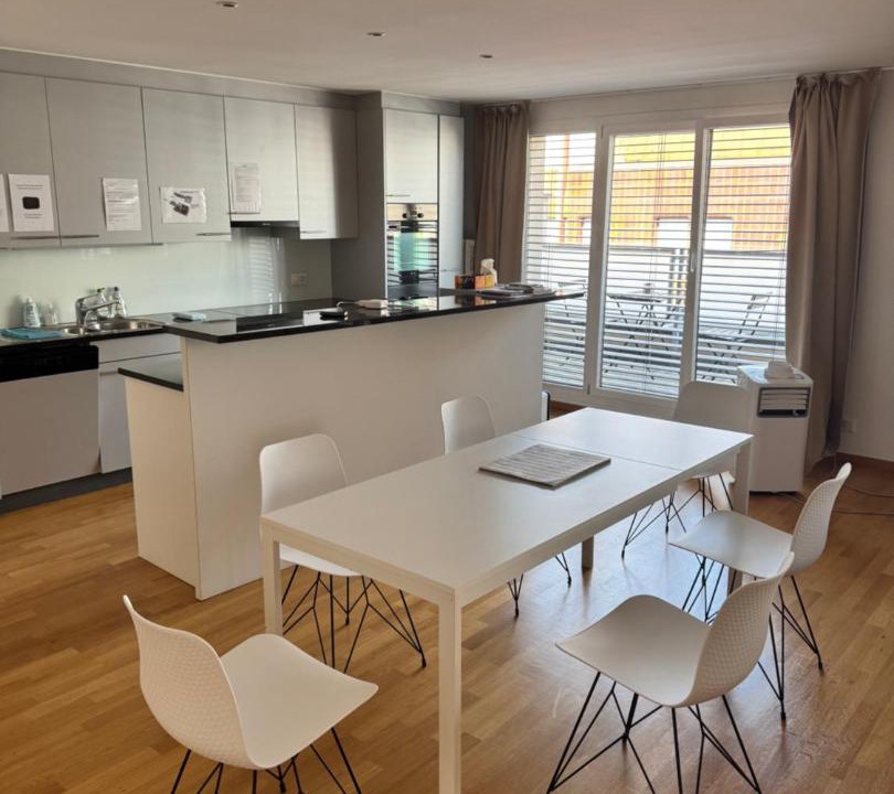Vorstadte Apartment | New Penthouse Loft with Rooftop Terrace 50sqm, Hot Tub, Open Kitchen Island, 2 BR, City Center