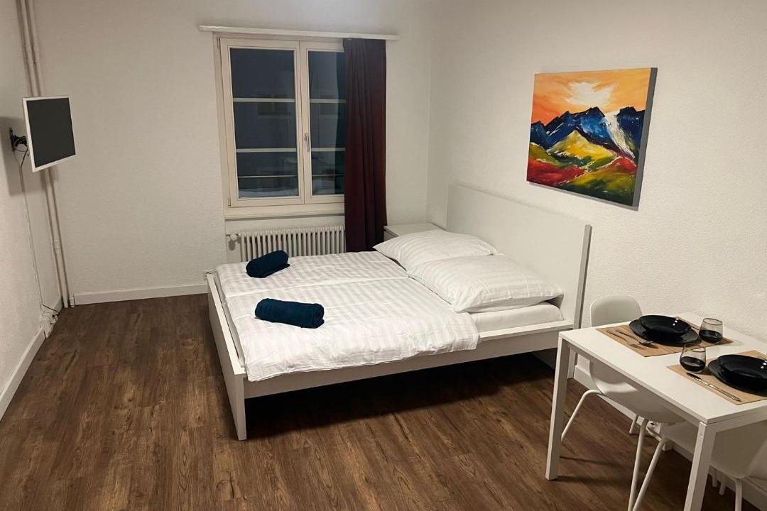 Brugg Apartment | Central Living Brugg - Studio 11